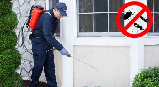 Elmalı Dezenfeksiyon böcek ilaçlama ve haşere kontrolü — ilaclama-tr.com